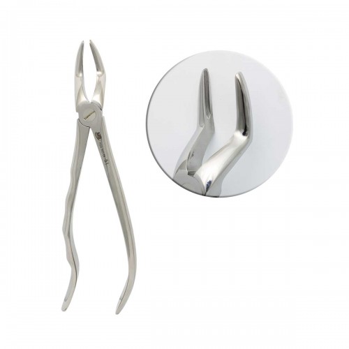Anatomic Upper Roots Forceps Fig51