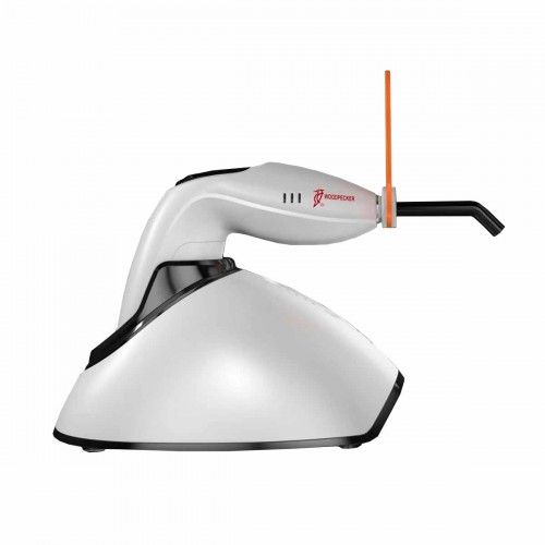 LED F SIM