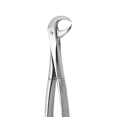 Lower Molars Tooth Forceps N.86-C