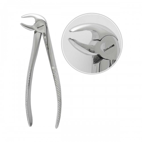 Lower Premolars Forceps Fig13