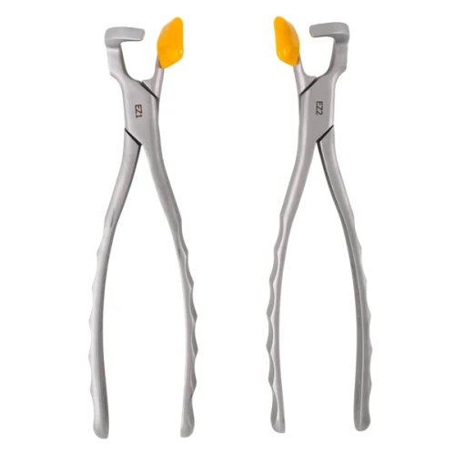 Molar Forceps