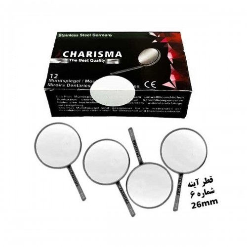 Stainless Steel Mouth Mirror Head