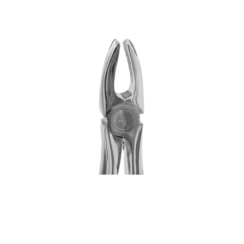 Upper Incisors And Canines Forceps