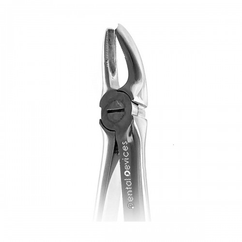 Upper Molars Right Forceps Fig17