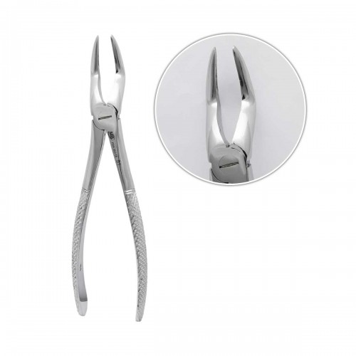 Upper Roots Forceps Fig51