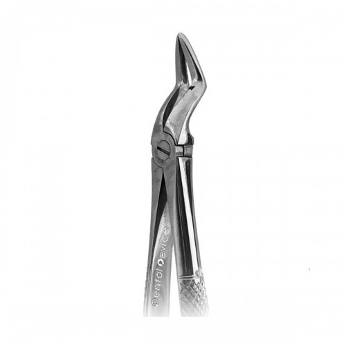 Upper Roots Forceps Fig51a